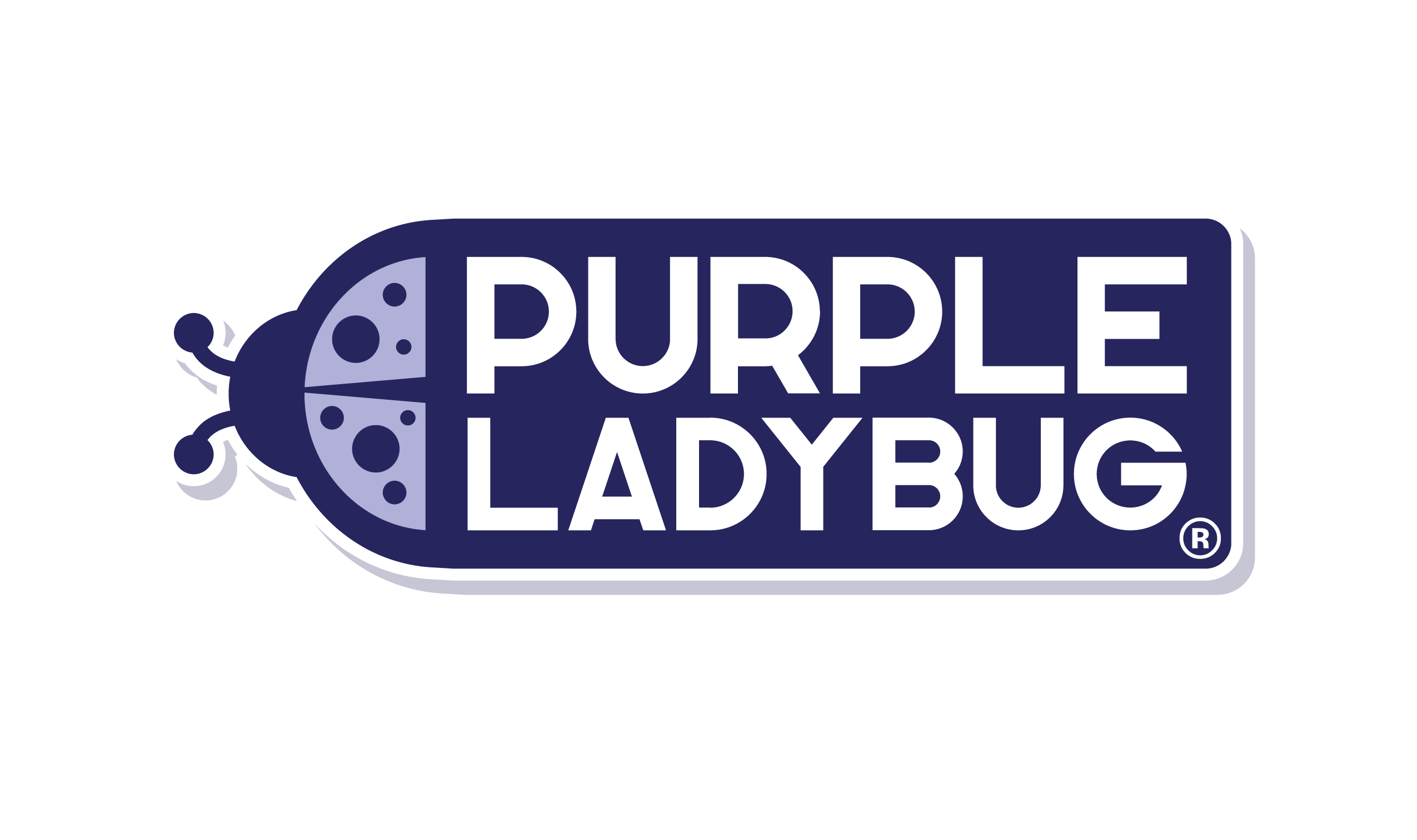 Purple Ladybug